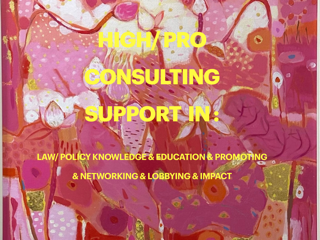 HIGH/PRO CONSULTING SUPPORT IN LAW/POLICY KNOWLEDGE & EDUCATION & PROMOTING & NETWORKING & LOBBYING & IMPACT